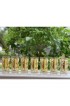 Home Tableware & Barware | 1960s Pasinski 22k Gold Fruit Medley Tumblers & Tall Glasses - Set of 7 - RE52378