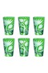 Home Tableware & Barware | ARTEL Jungle Deco Tumbler in Emerald - Set of 6 - ES23383