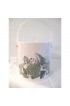 Home Tableware & Barware | 1970s White & Sage Green Seashell Ice Bucket - UB87850