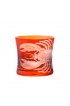 Home Tableware & Barware | ARTEL Lobster Rocks Glass in Burnt Orange - Set of 6 - LP22514