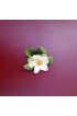 Home Tableware & Barware | 1950s Vintage Adderley Floral Porcelain Dogwood Placecard Holders - Set of 8 - YT79696