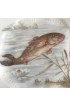 Home Tableware & Barware | Fish Plates Hand Painted Silesia Porcelain Hermann Ohme, a Pair - NN20145