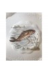 Home Tableware & Barware | Fish Plates Hand Painted Silesia Porcelain Hermann Ohme, a Pair - NN20145