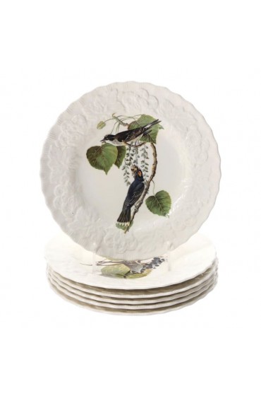 Home Tableware & Barware | Mid 20th Century Alfred Meakin Birds of America National Audubon Society Ceramic Plates - Set of 6 - CI26737