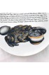 Home Tableware & Barware | Piero Fornasetti 1960's Soup Toad Improbable Recipe Plate for Fleming Joffe - EF26567