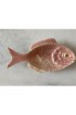 Home Tableware & Barware | Set of 4 Small Pink Fish Plates by Bordallo Pinheiro - CX45126