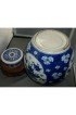 Home Decor | 18th Century Kangxi Chinese Blue and White Porcelain Jar or Vase & Cover - GE84888