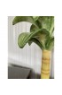 Home Decor | Coastal Italian Palm Tree Candle Holders-Pair - DB30450