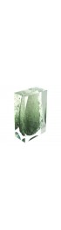 Home Decor | Glacoja Vase by Analogia Project for JCP Universe - ME53582