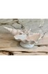Home Tableware & Barware | Capodimonte White Shell Caviar Dish - SH50049