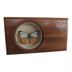 Home Tableware & Barware | Mid Century Taxidermy Monarch Butterfly Walnut Napkin Holder Bar Cart Decor - MV64200