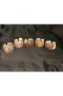 Home Tableware & Barware | Vintage Natural Cowrie Shell Napkin Rings- Set of 5 and Set of 6 - EH63359