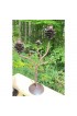 Home Decor | Vintage Bronze Pinecone Double Candleholder - RM03175